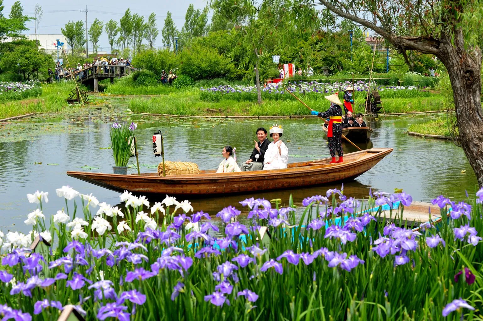 🌸 스이고 사와라 아야메 파크